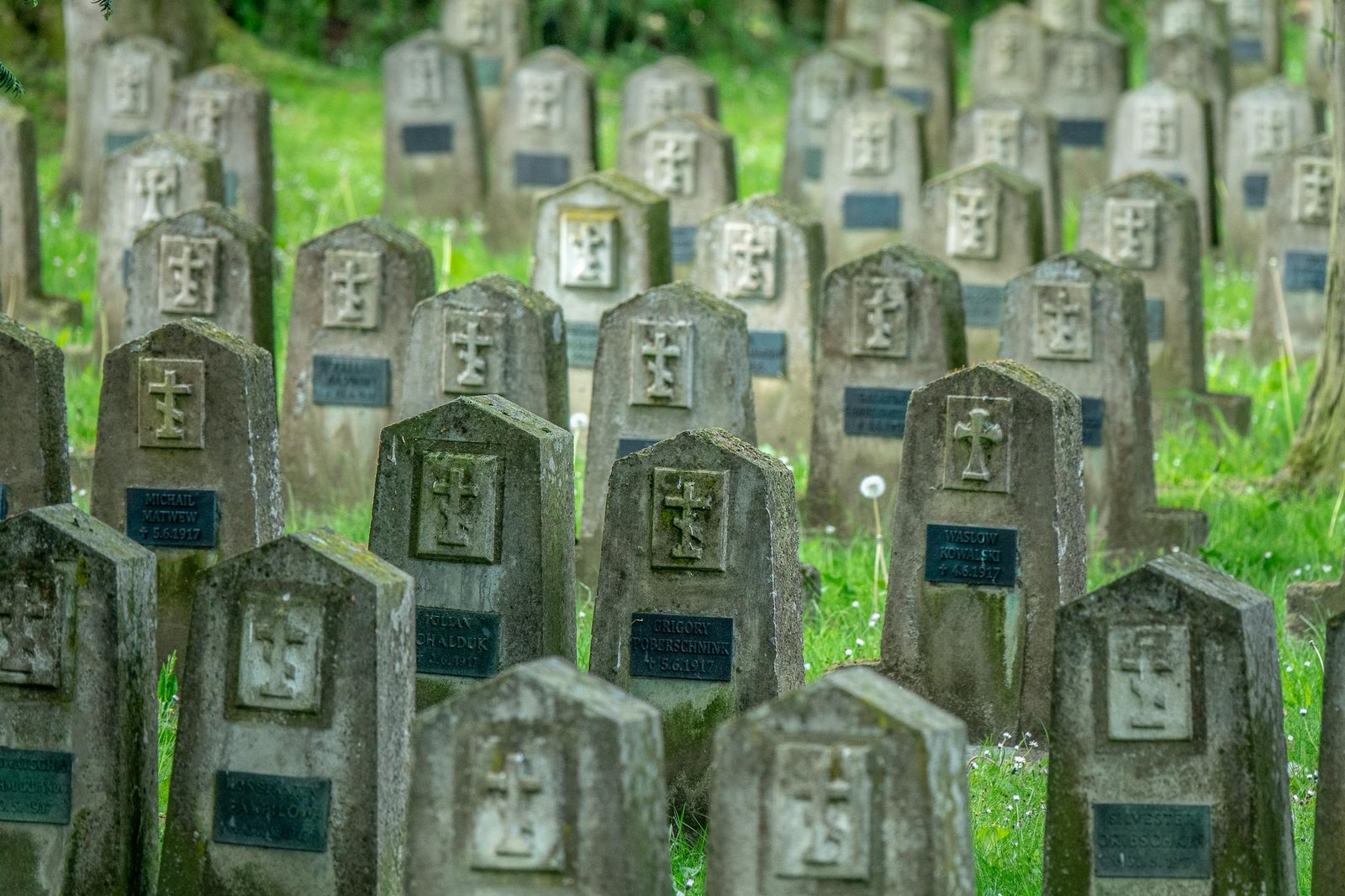 A serene image of moss-covered tombstones in an old, forgotten cemetery surrounded by green grass.