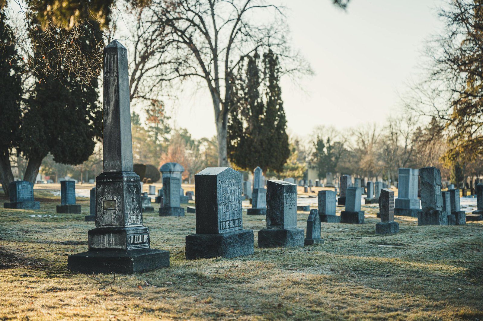 A tranquil cemetery landscape featuring tombstones and bare trees on a clear day.