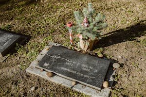 Gravestone adorned with a pine tree and decorations in a peaceful cemetery setting. Can you use vinegar to clean headstones.