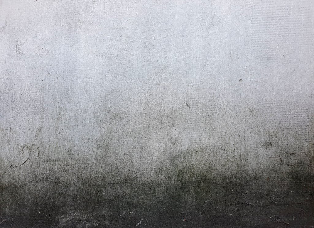 Best cleaner for gravestones. Close-up of a textured gravestone with subtle grunge pattern, perfect for backgrounds or design elements.
