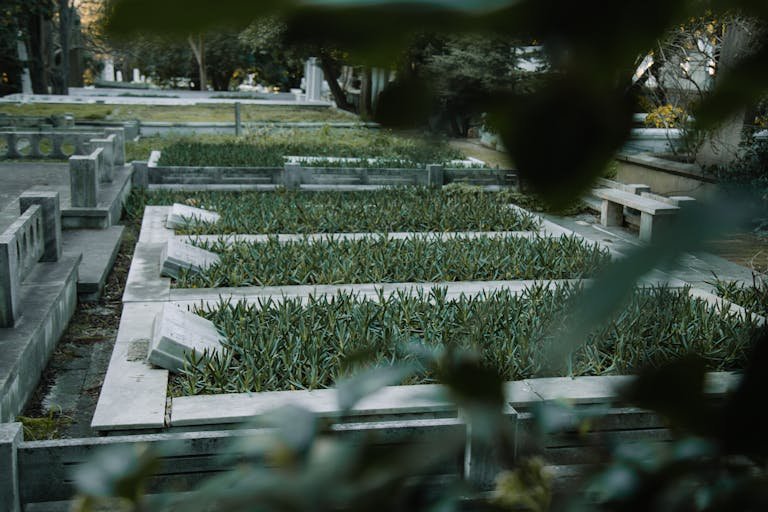 Rows of old graves with headstones and lush plants growing against lawn in graveyard. Cheapest way to be buried.