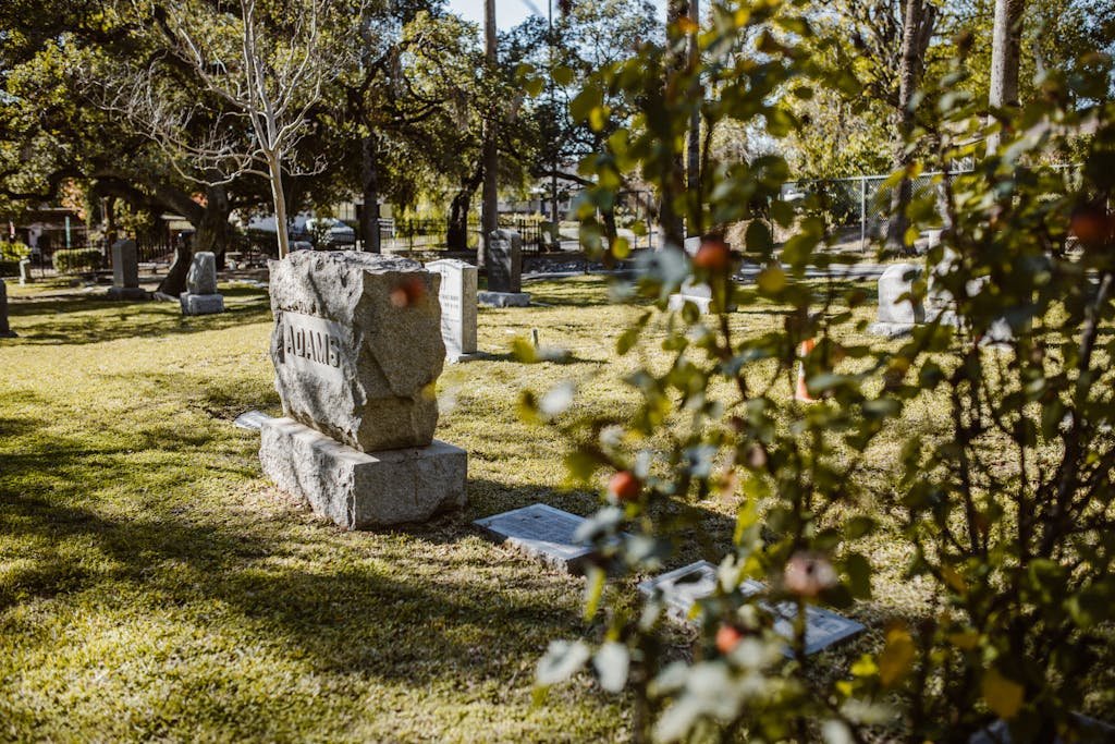 A peaceful cemetery scene with tombstones and trees under sunlight. Do you have to be embalmed.